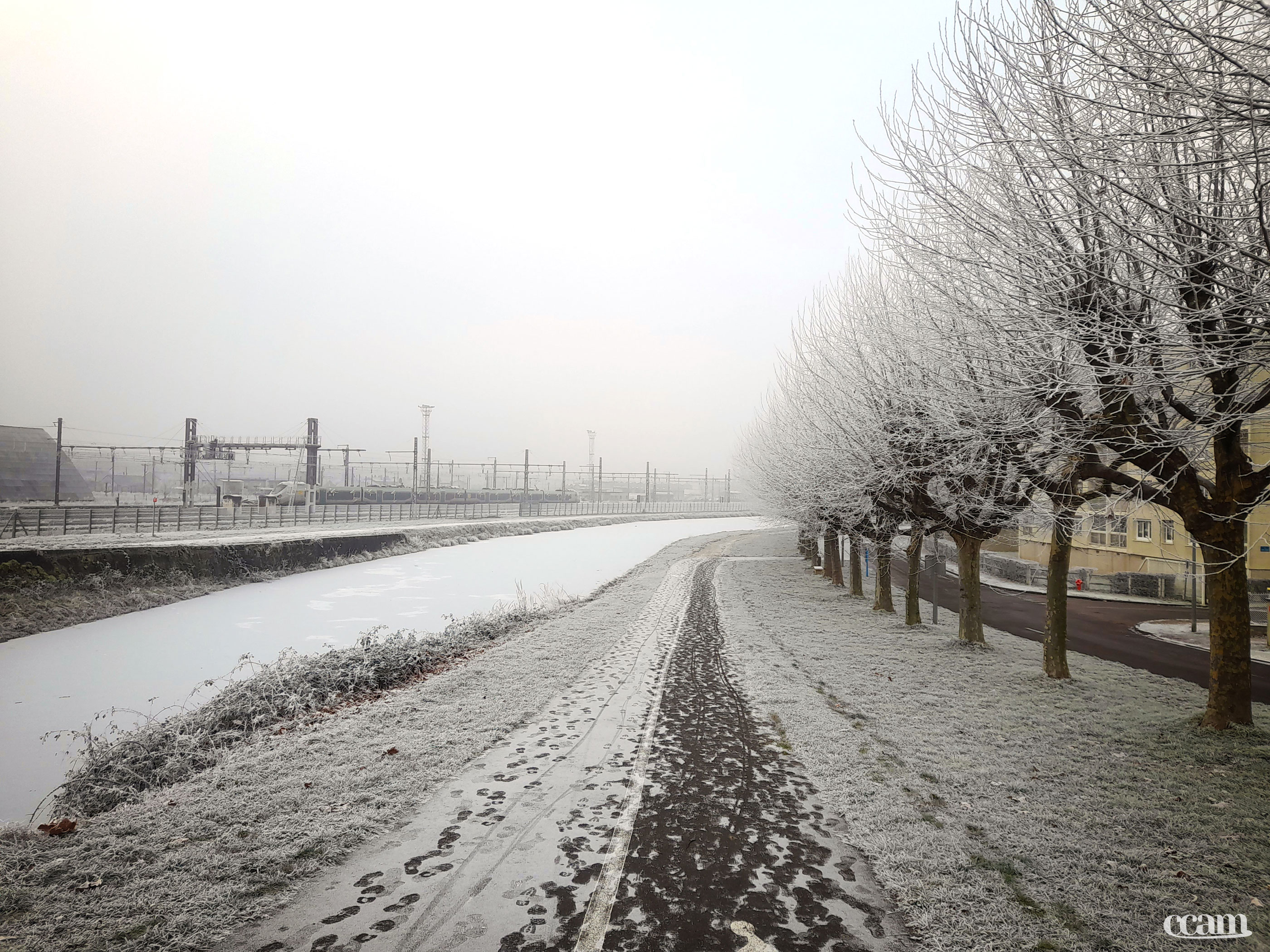 Neige et givre dans le Migennois