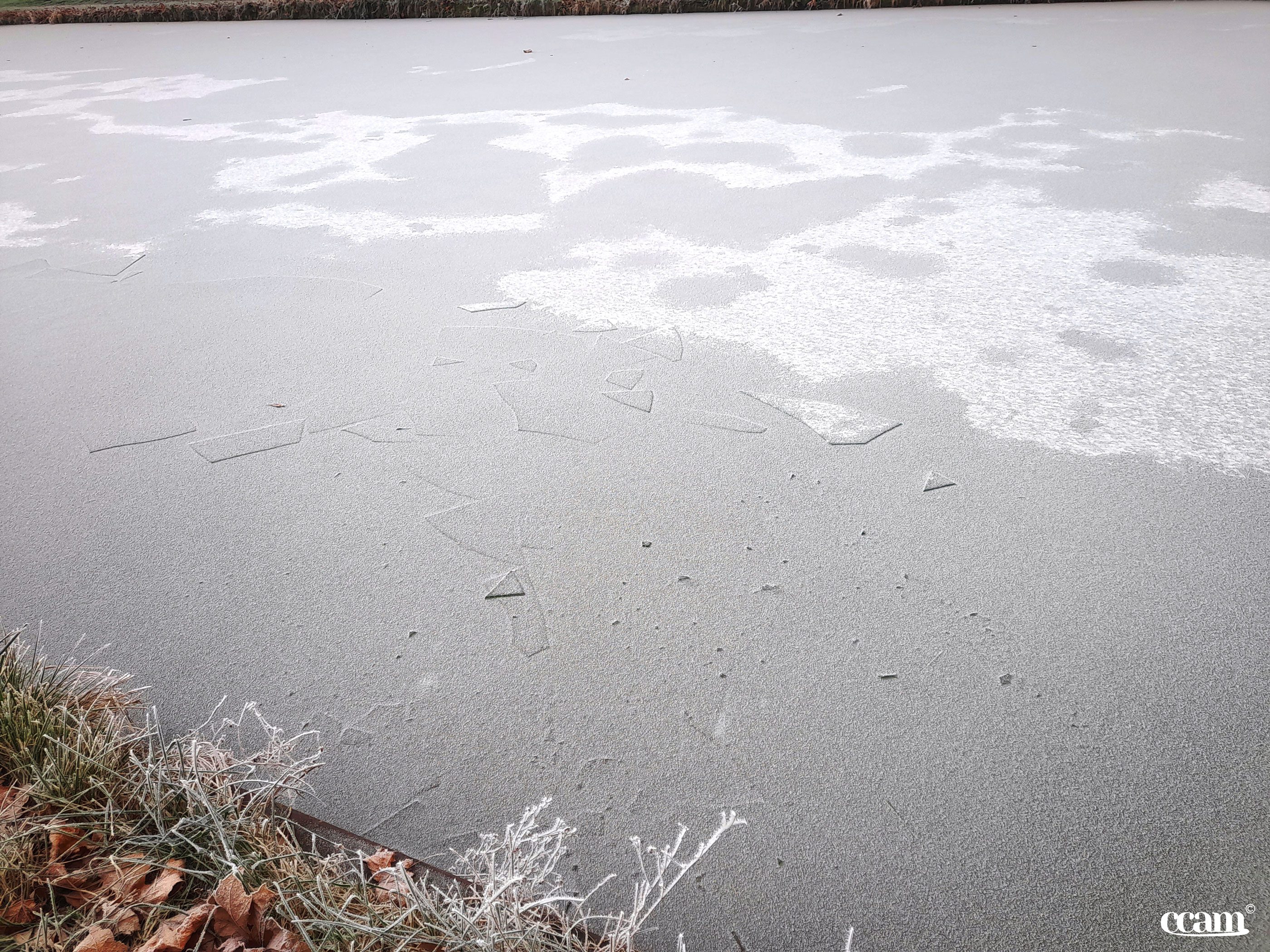 Neige et givre dans le Migennois