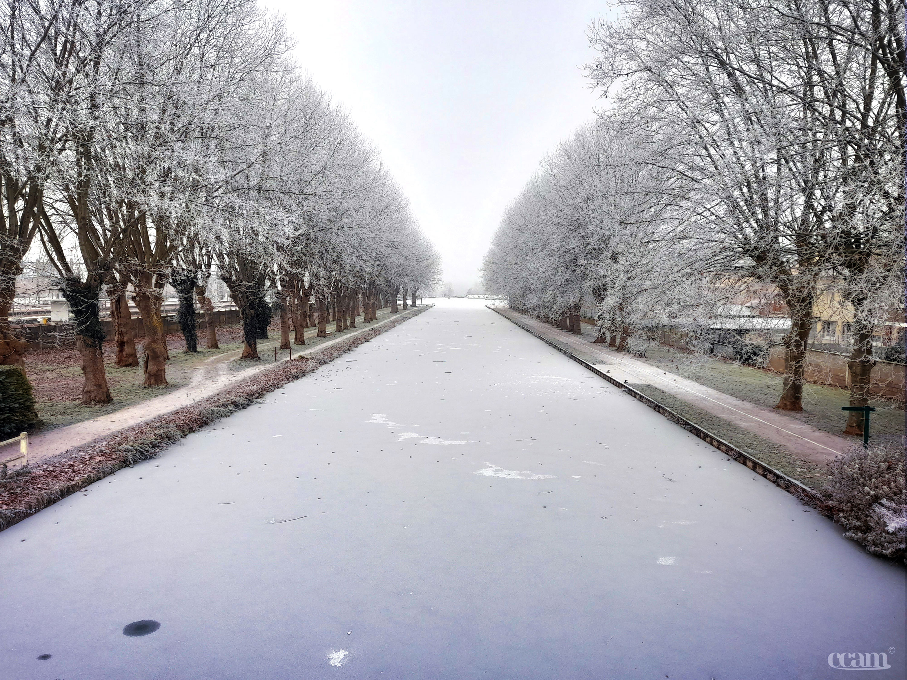 Neige et givre dans le Migennois