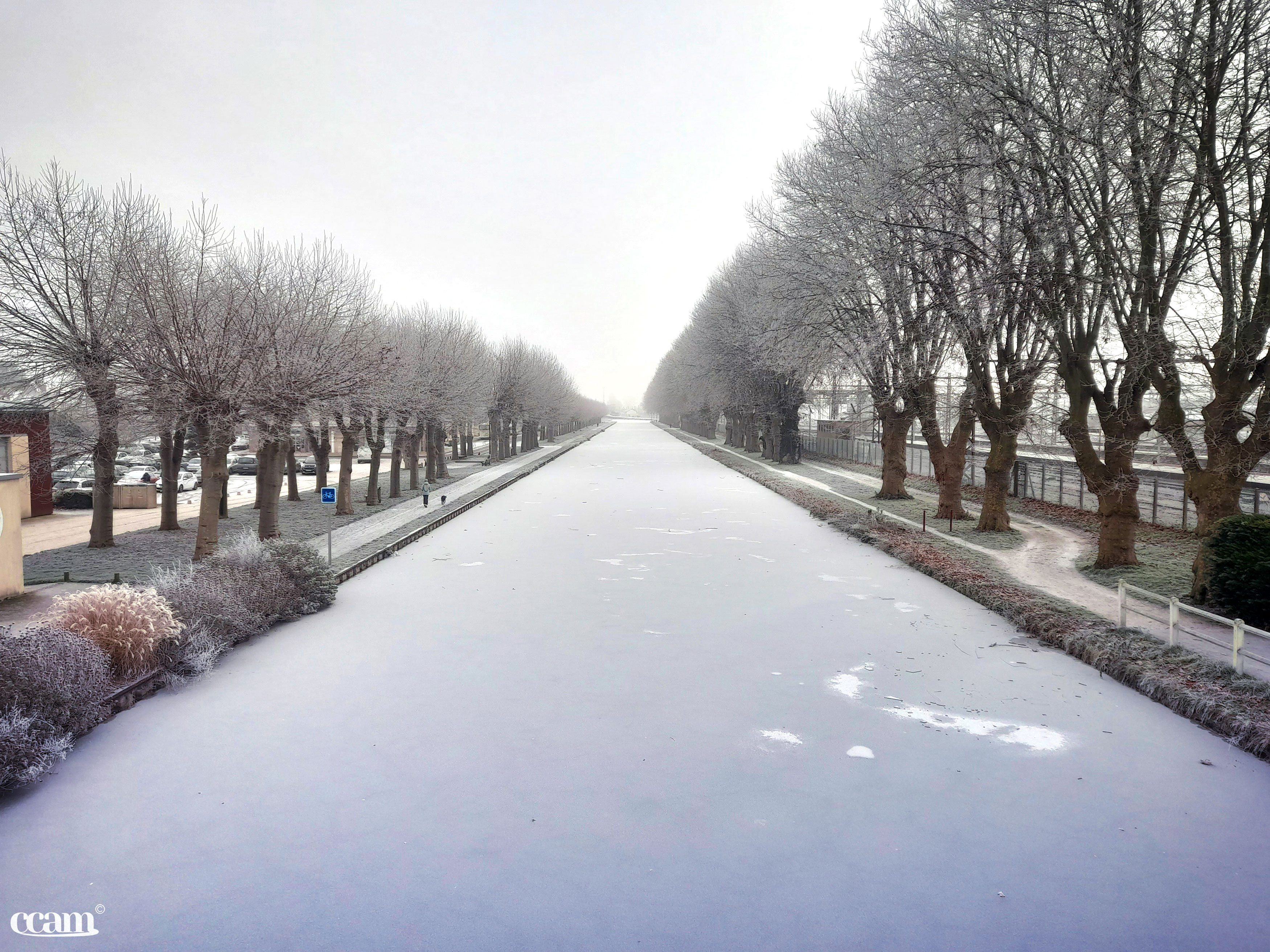 Neige et givre dans le Migennois