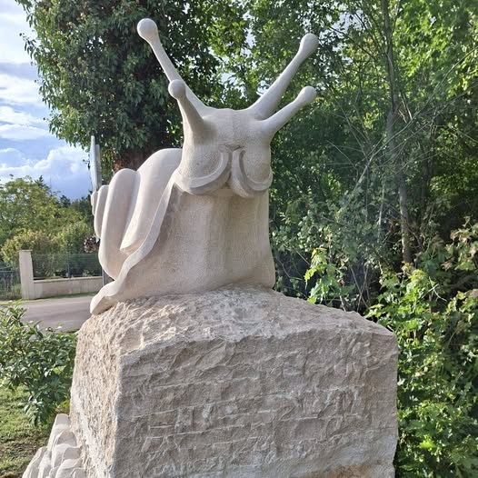 L'actualité 2025 de la CCAM