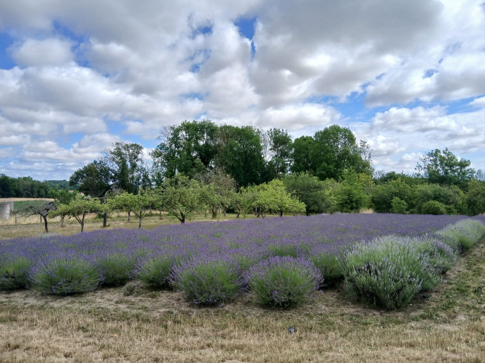 Sport et vie Associative du Migennois